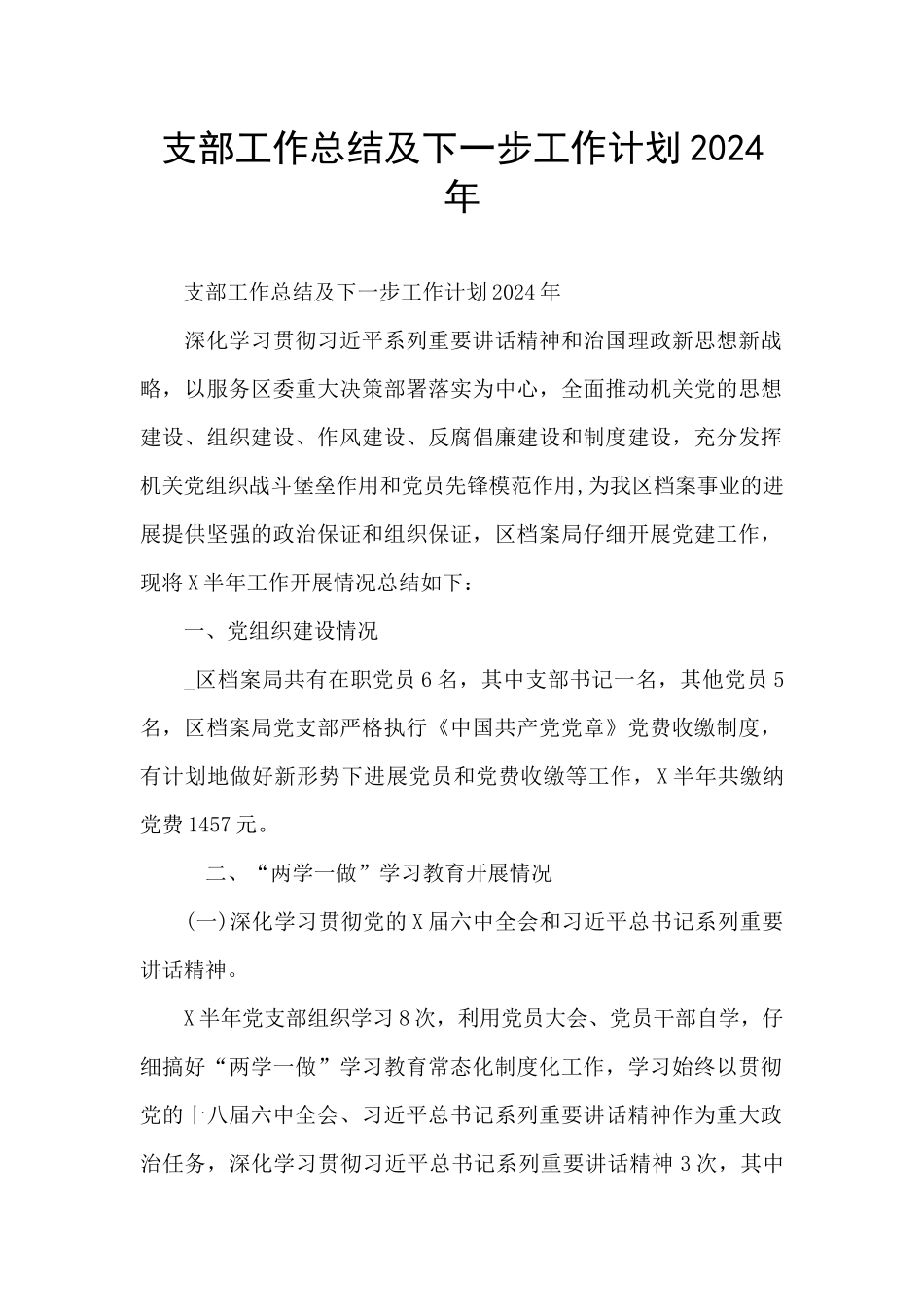 支部工作总结及下一步工作计划2024年_第1页
