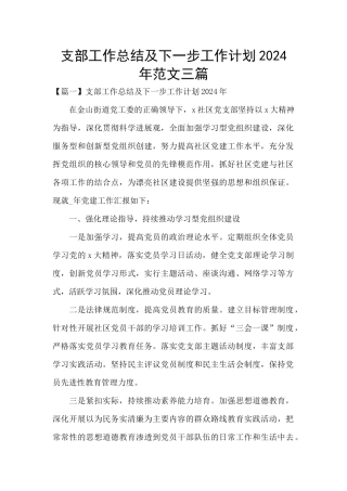支部工作总结及下一步工作计划2024年范文三篇