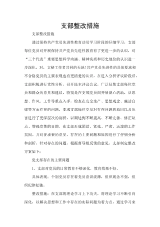 支部整改措施