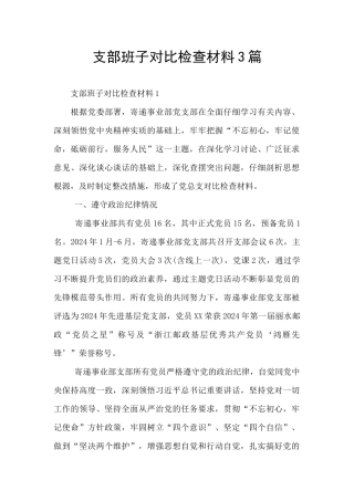 支部班子对照检查材料3篇