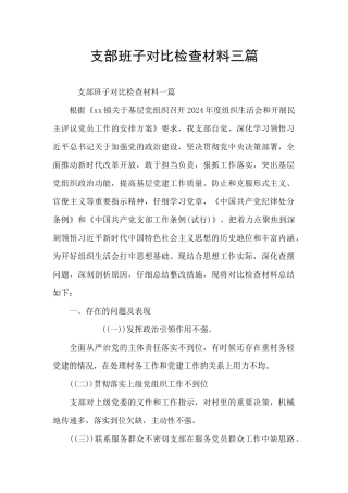 支部班子对照检查材料三篇