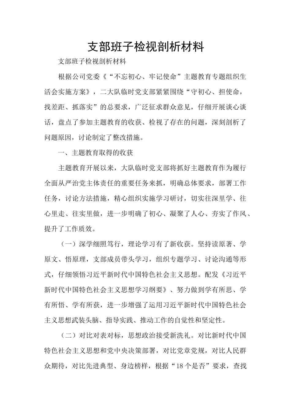 支部班子检视剖析材料_第1页