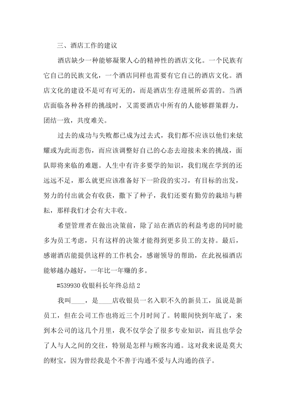 收银科长年终总结_第3页