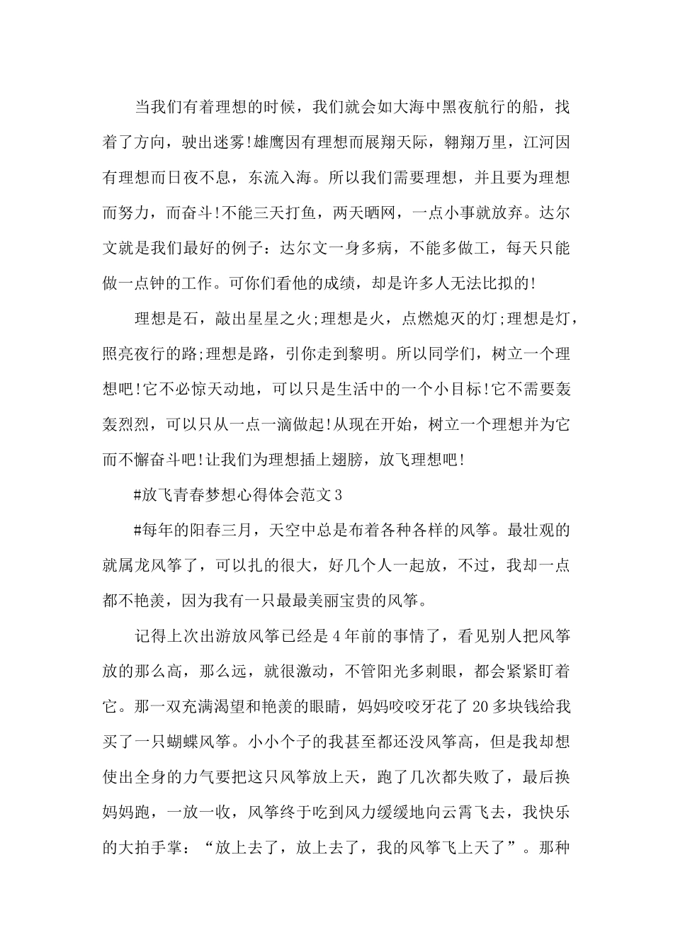 放飞青春梦想心得体会范文五篇_第3页