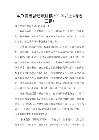 放飞青春梦想演讲稿800字以上