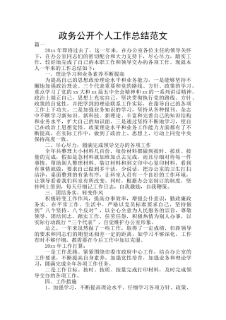 政务公开个人工作总结范文