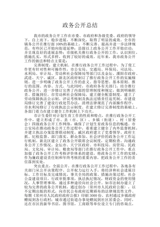 政务公开总结
