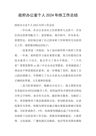 政府办公室个人2024年终工作总结