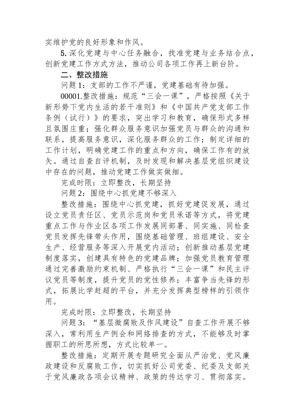 2024年党组织书记述职评议考核整改方案_第2页