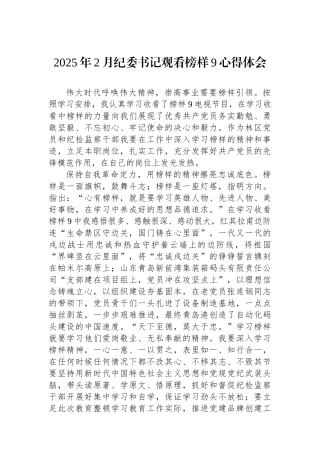 2025年2月纪委书记观看榜样9心得体会