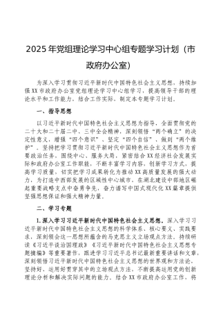2025年党组理论学习中心组专题学习计划（市政府办公室）
