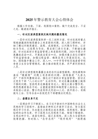 2025年警示教育大会心得体会