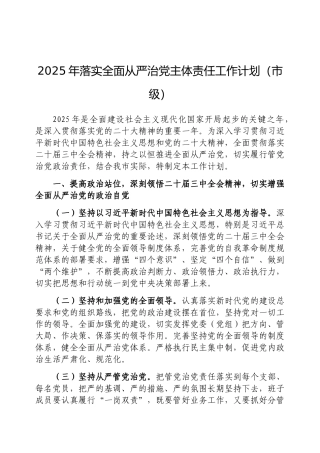 2025年落实全面从严治党主体责任工作计划（市级）