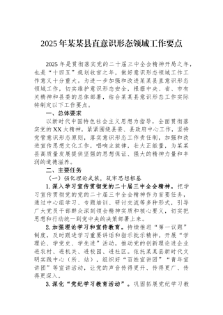 2025年某某县直意识形态领域工作要点