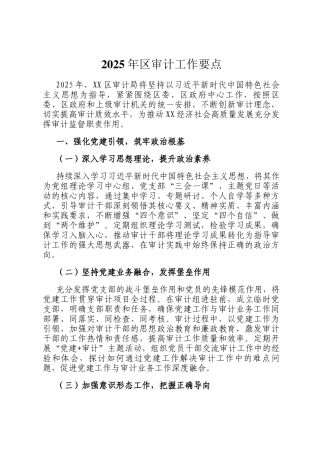 2025年区审计工作要点