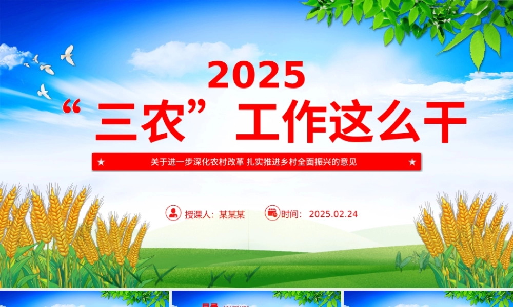 2025年三农工作这么干PPT中央一号文件要点