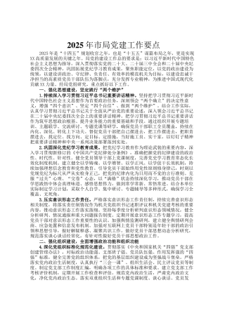 2025年市局党建工作要点