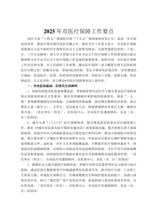2025年市医疗保障工作要点