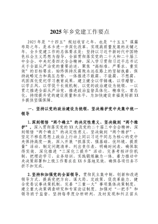 2025年乡党建工作要点