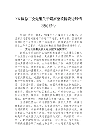 XX区总工会党组关于巡察整改阶段进展情况的报告
