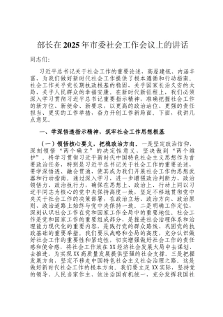 部长在2025年市委社会工作会议上的讲话