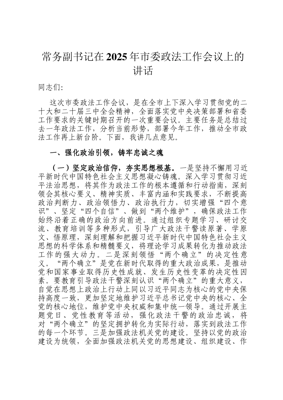 常务副书记在2025年市委政法工作会议上的讲话_第1页
