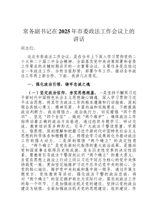 常务副书记在2025年市委政法工作会议上的讲话