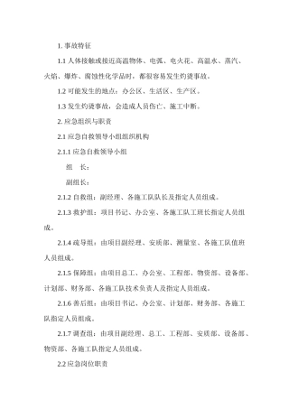 灼烫现场处置方案