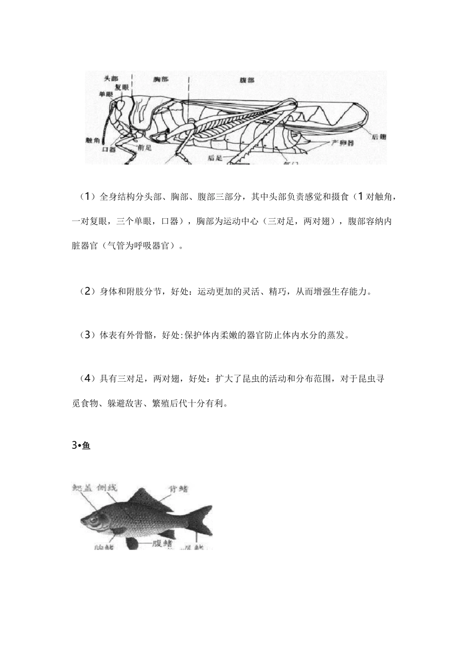 八上生物知识点归纳总结莆田_第3页