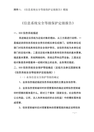 信息系统安全等级保护定级报告模版