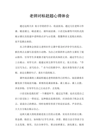 教师对标赶超心得体会