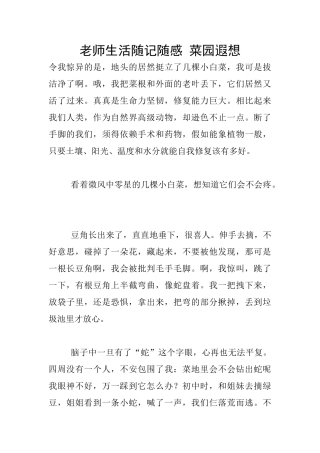 教师生活随记随感