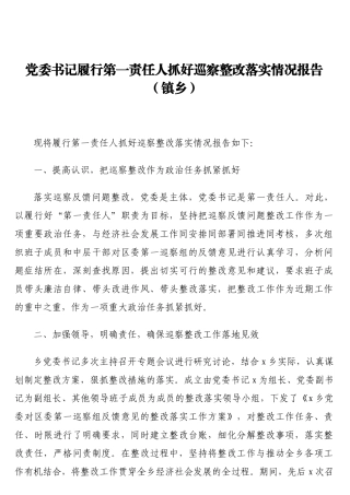 党委书记履行第一责任人抓好巡察整改落实情况报告（镇乡）