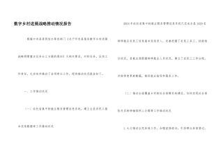 数字乡村发展战略推进情况报告