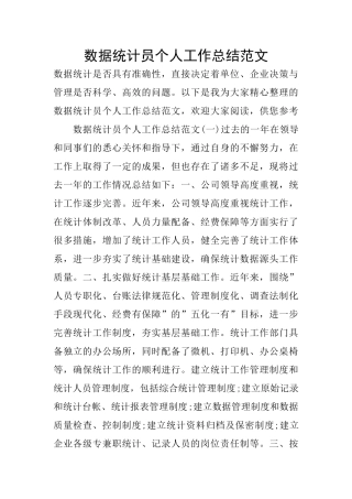 数据统计员个人工作总结范文