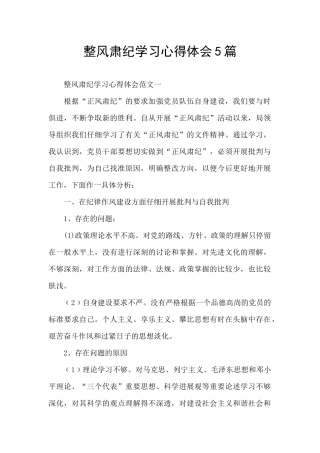 整风肃纪学习心得体会5篇