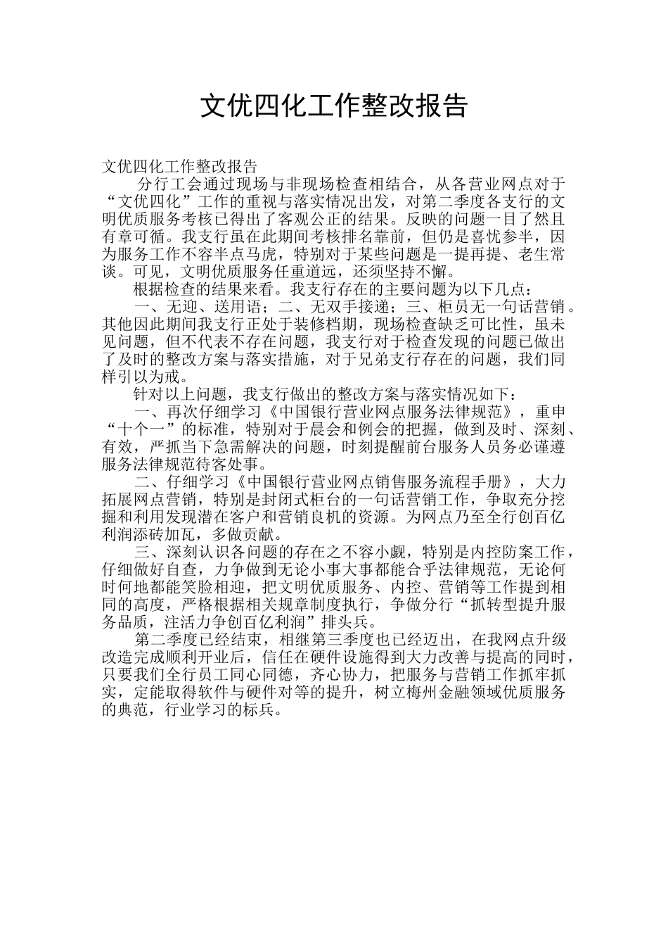 文优四化工作整改报告_第1页