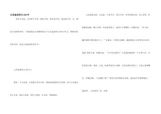 文具盒说明文500字