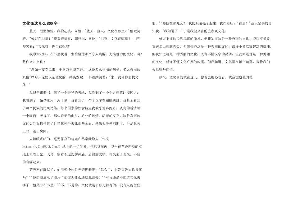 文化在这儿么800字_第1页