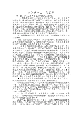 文化站个人工作总结