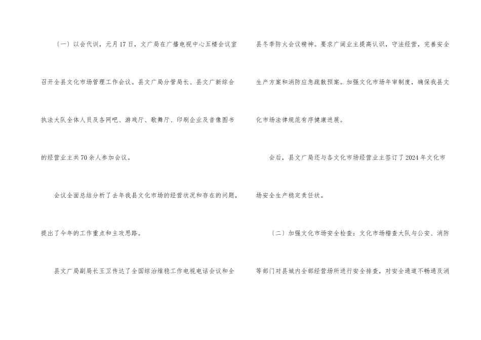文化系统安全检查情况报告_第2页