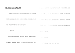 文化系统安全检查情况报告