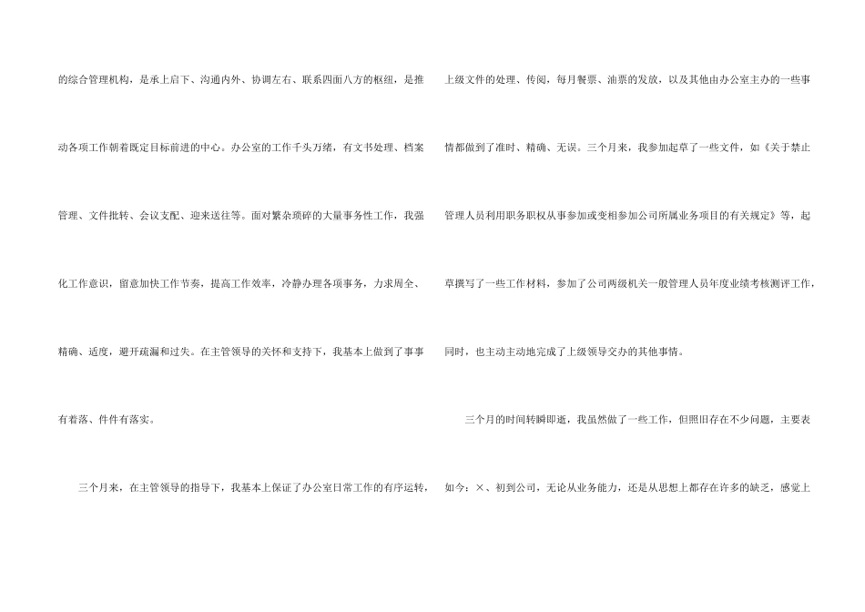 文员试用期个人工作总结_第2页