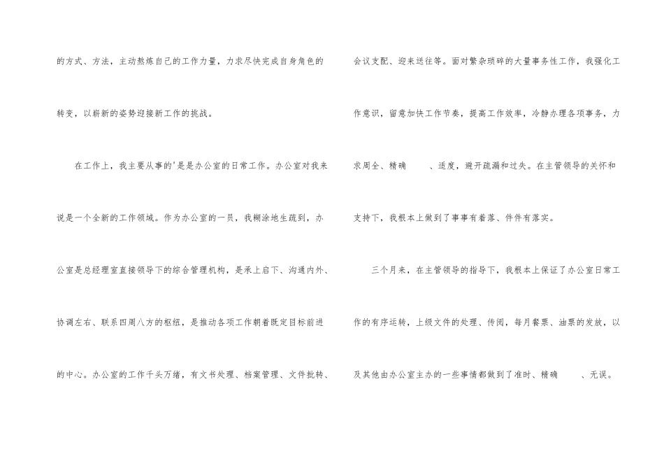 文员试用期工作总结报告格式_第2页