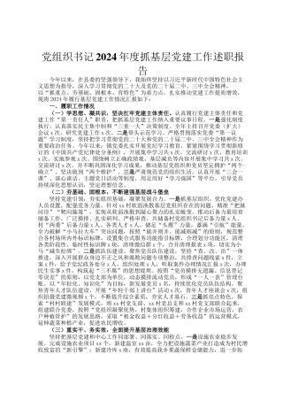 党组织书记2024年度抓基层党建工作述职报告