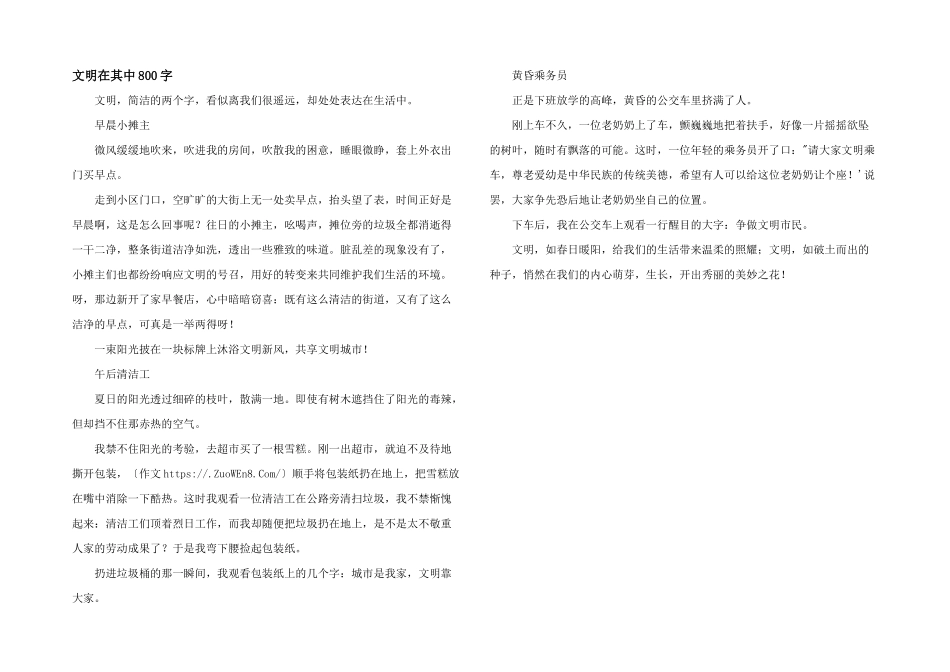 文明在其中800字_第1页