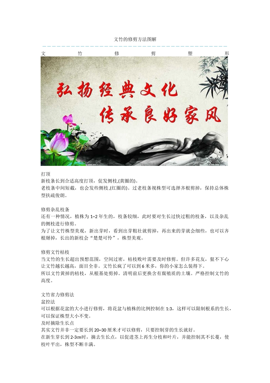 文竹的修剪方法图解_第1页