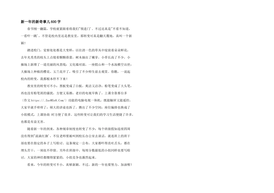 新一年的新鲜事儿600字_第1页