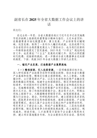 副省长在2025年全省大数据工作会议上的讲话