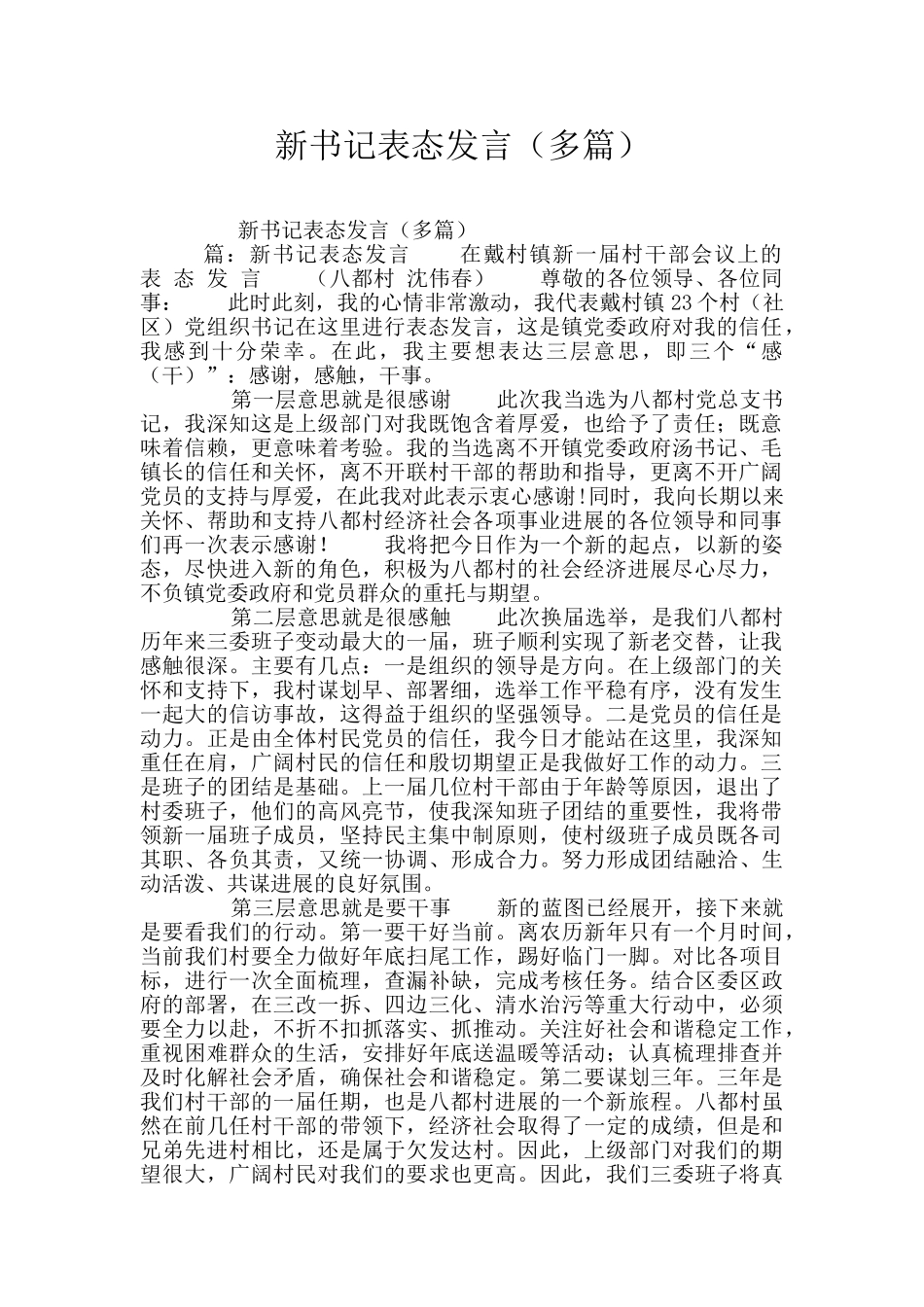 新书记表态发言_第1页